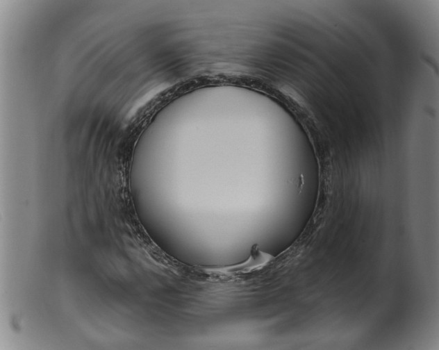 X0000099401112200805221849