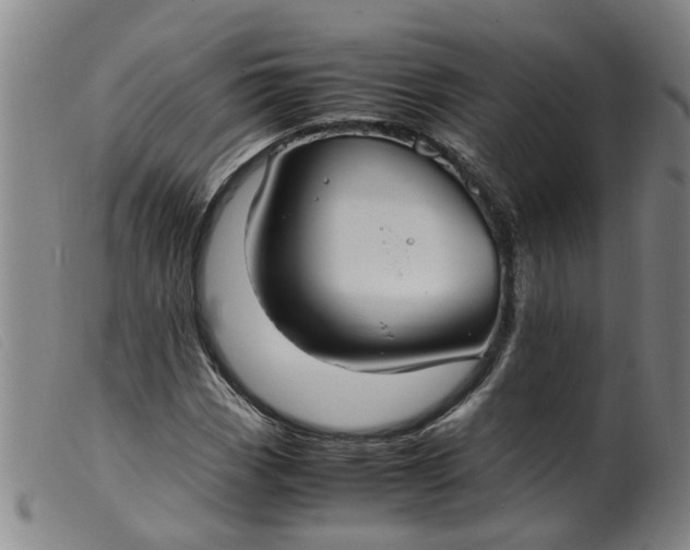 X0000099401113200805221849