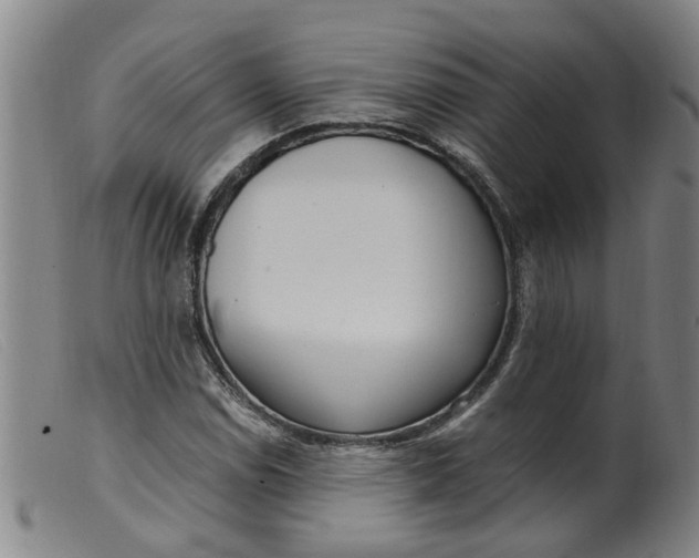 X0000099401114200805221849