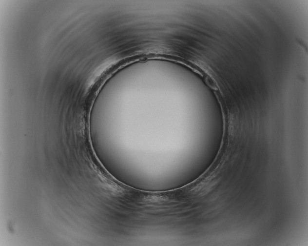 X0000099401115200805221849