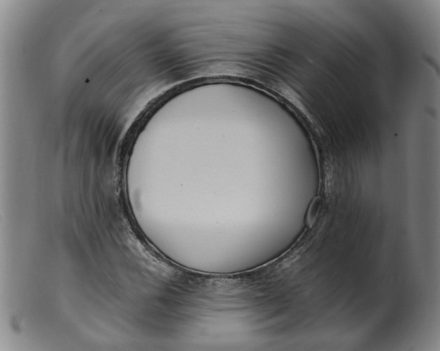 X0000099401116200805221849