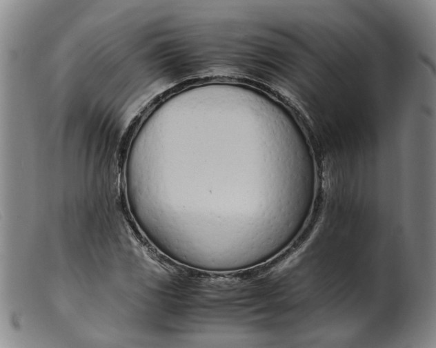 X0000099401117200805221849