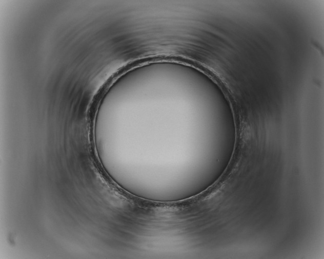 X0000099401118200805221849