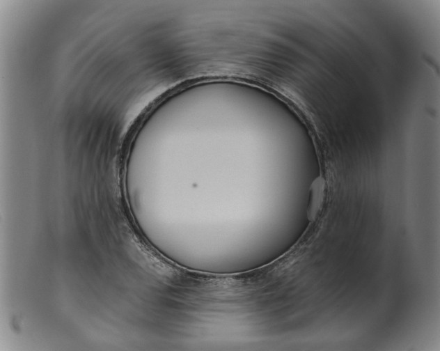 X0000099401120200805221849