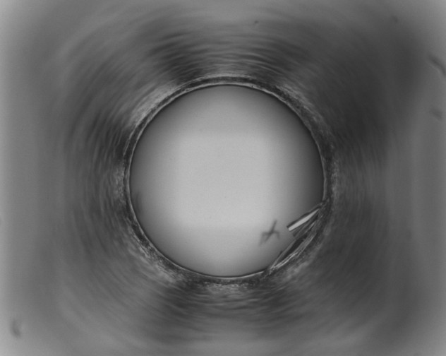 X0000099401121200805221849