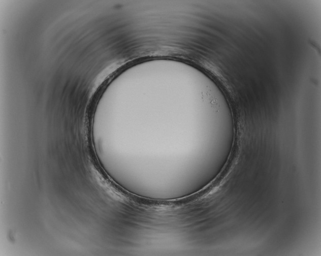 X0000099401122200805221849