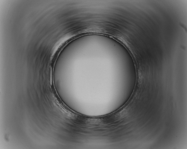 X0000099401123200805221849