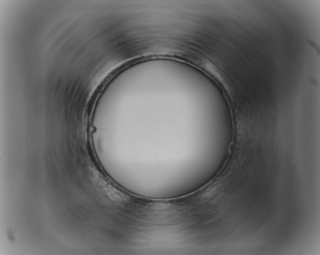 X0000099401124200805221849