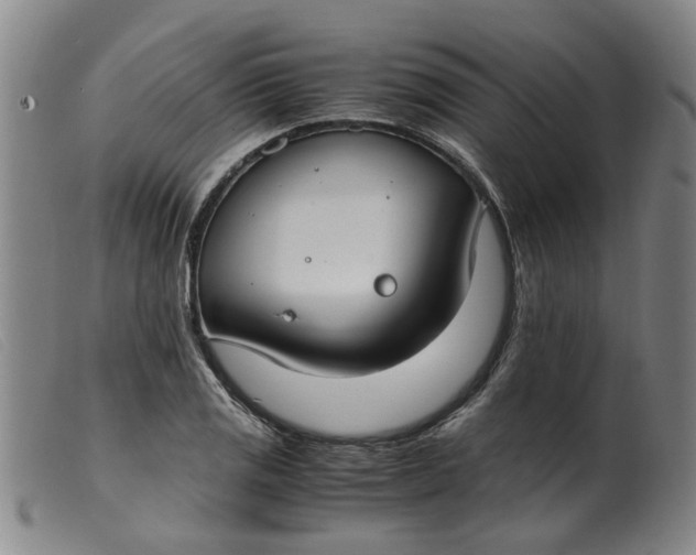 X0000099401125200805221849