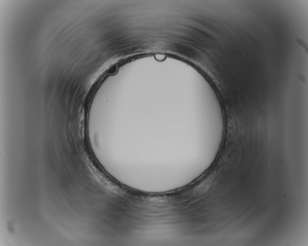 X0000099401126200805221849