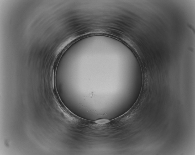 X0000099401127200805221849