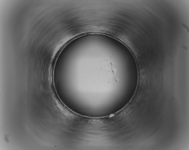 X0000099401128200805221849