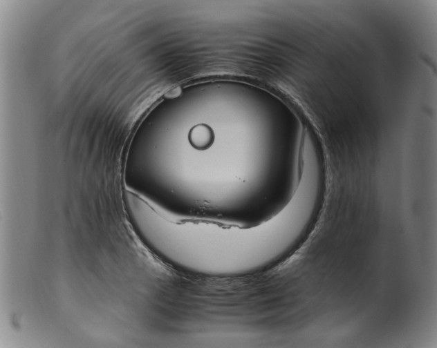 X0000099401129200805221849