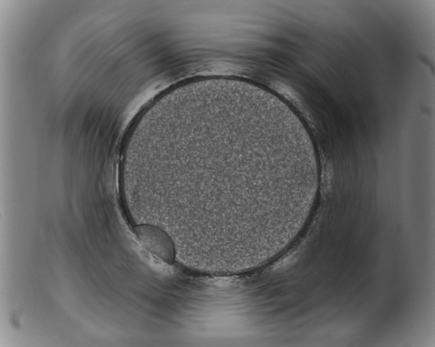 X0000099401130200805221849