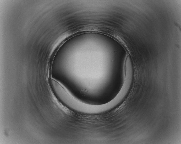 X0000099401131200805221849