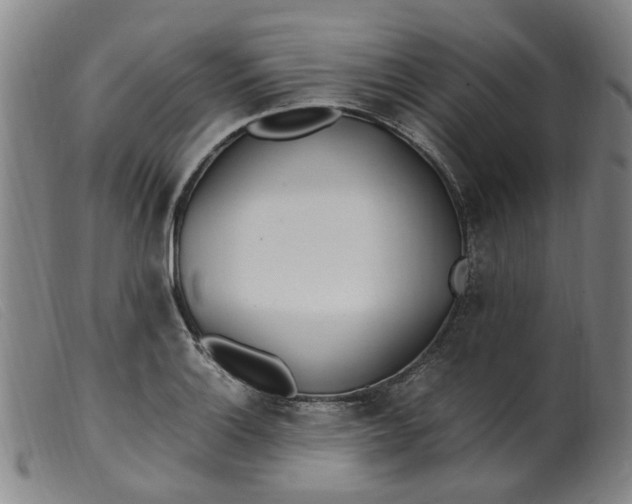 X0000099401132200805221849