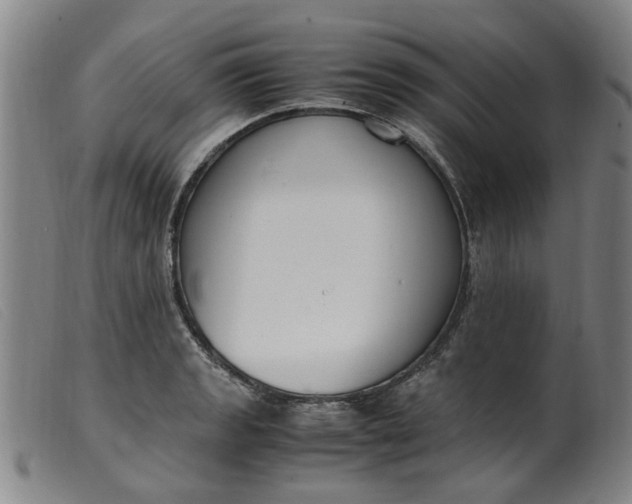 X0000099401133200805221849