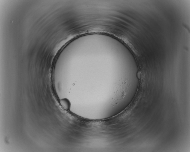 X0000099401134200805221849