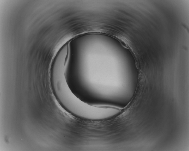 X0000099401135200805221849