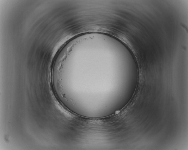 X0000099401136200805221849