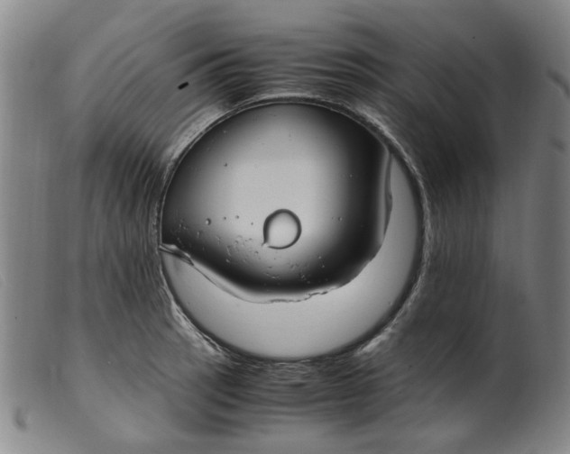 X0000099401137200805221849