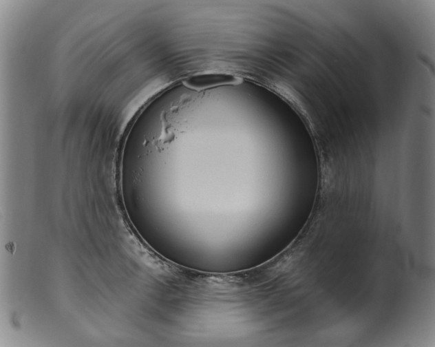 X0000099401138200805221849