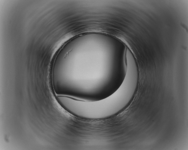 X0000099401139200805221849