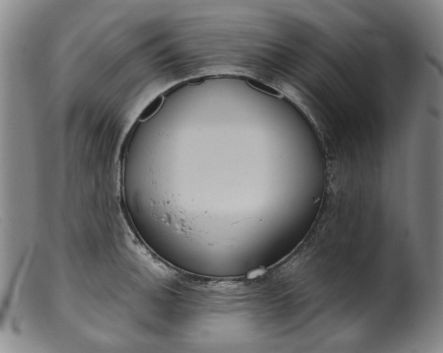 X0000099401140200805221849