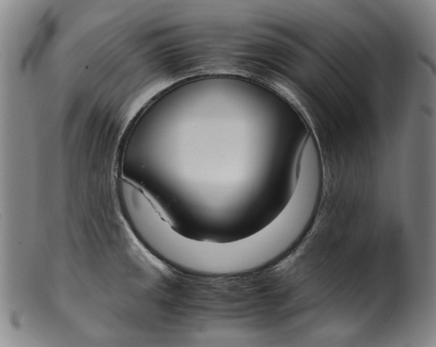 X0000099401141200805221849