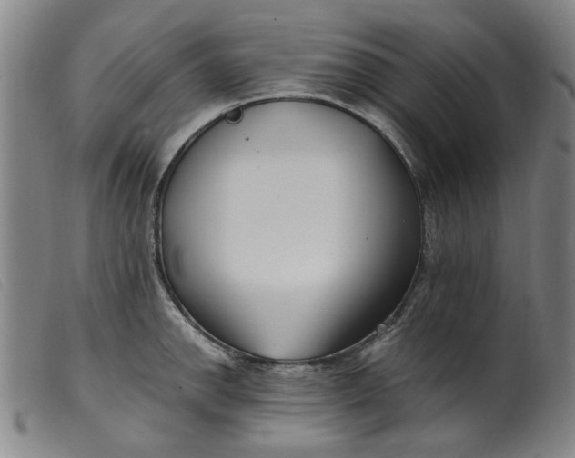 X0000099401142200805221849