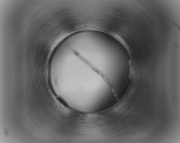 X0000099401144200805221849