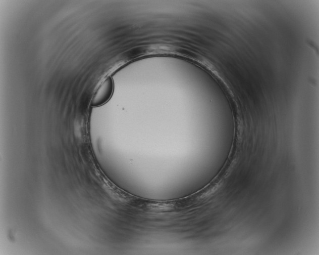 X0000099401145200805221849