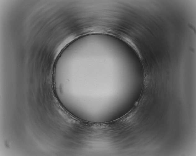 X0000099401146200805221849