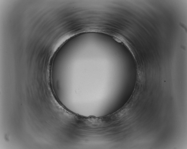 X0000099401147200805221849