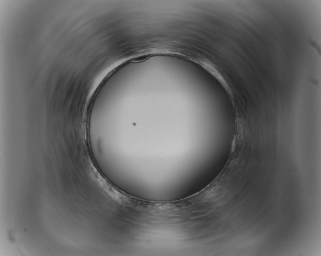 X0000099401148200805221850