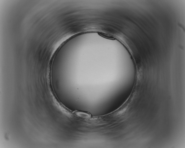 X0000099401149200805221850