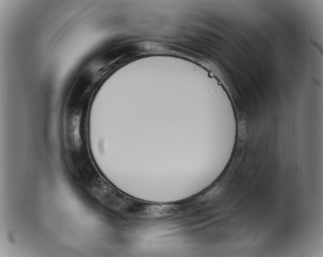 X0000099401150200805221850