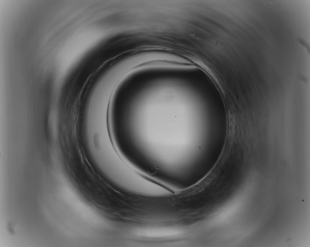 X0000099401151200805221850