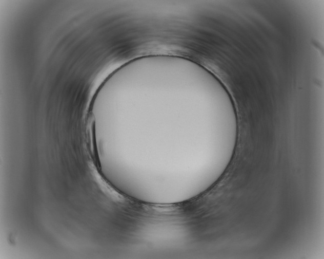 X0000099401152200805221850