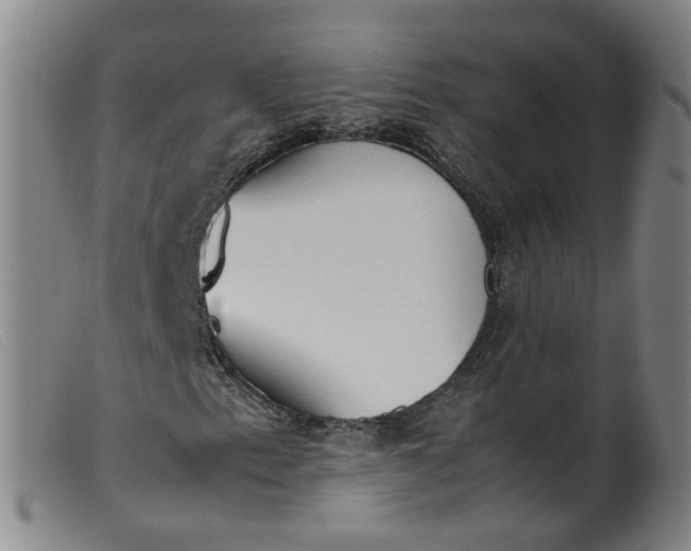 X0000099401153200805221849