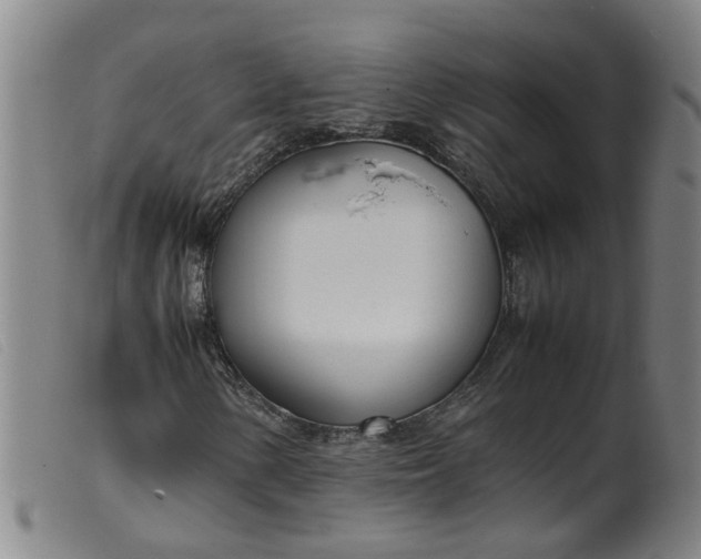 X0000099401154200805221849