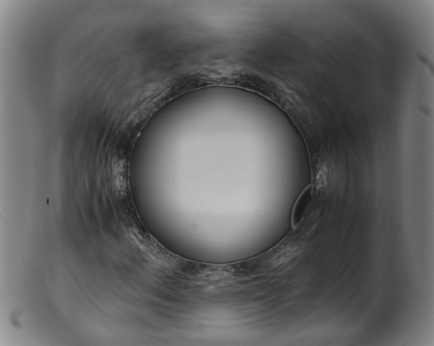 X0000099401156200805221849