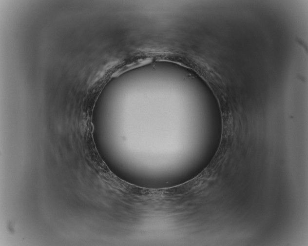 X0000099401157200805221849