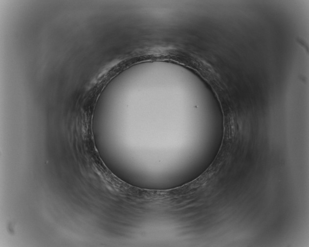 X0000099401158200805221849