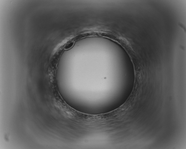 X0000099401159200805221849