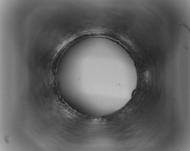 X0000099401160200805221849