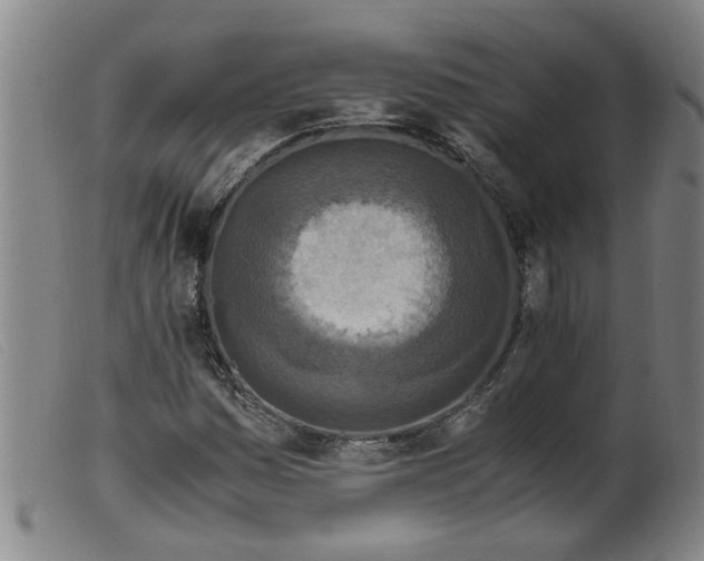 X0000099401161200805221849