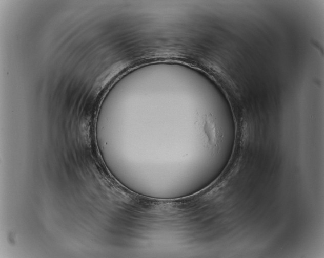 X0000099401162200805221849