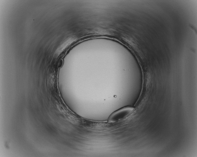 X0000099401163200805221849