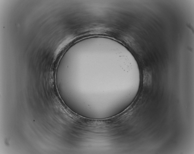 X0000099401164200805221849